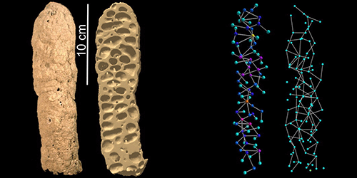 Synopsis: Termite Skyscrapers