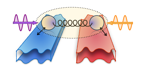 Synopsis: Second Law in an Optical Cavity and a BEC